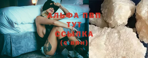 гидра Вязьма