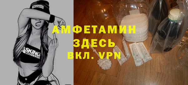 индика Вяземский