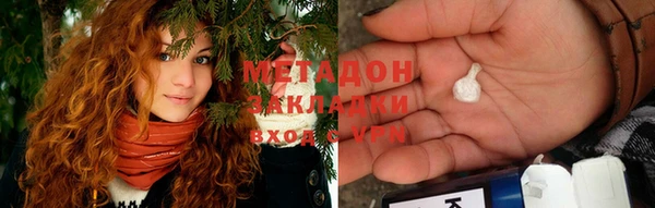 индика Вяземский