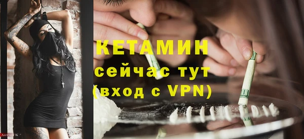 гидра Вязьма