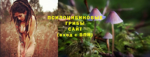 индика Вяземский