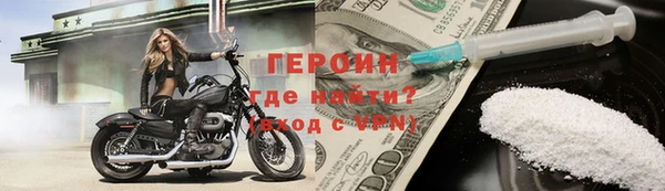 индика Вяземский