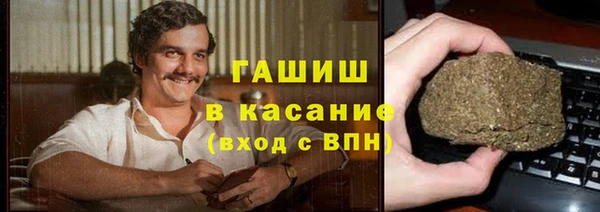 индика Вяземский