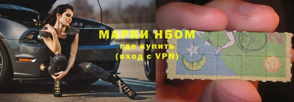 гидра Вязьма