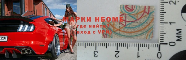 индика Вяземский