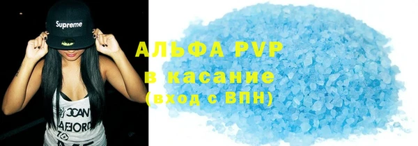 индика Вяземский