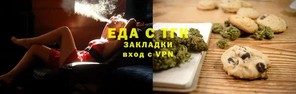 индика Вяземский