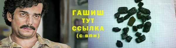 индика Вяземский