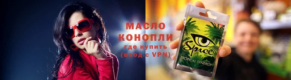 гидра Вязьма