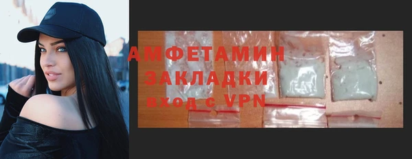 гидра Вязьма