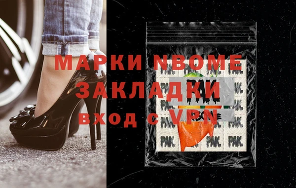 гидра Вязьма