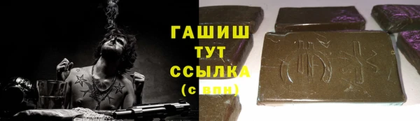 индика Вяземский