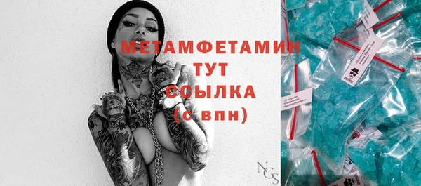 гидра Вязьма