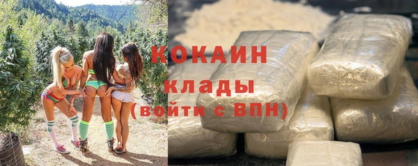 гидра Вязьма