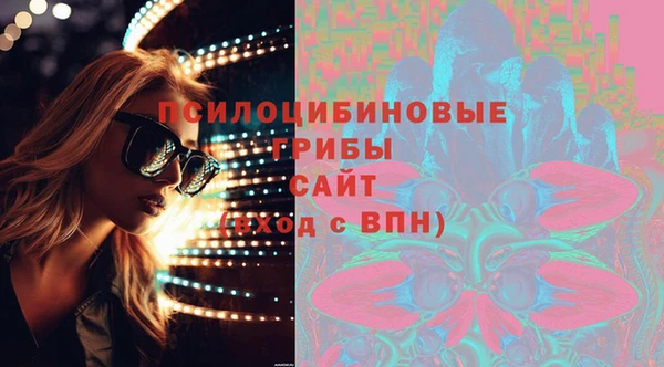 индика Вяземский