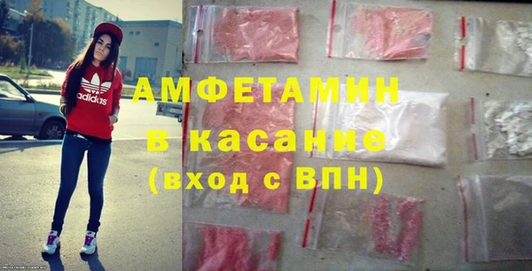 индика Вяземский