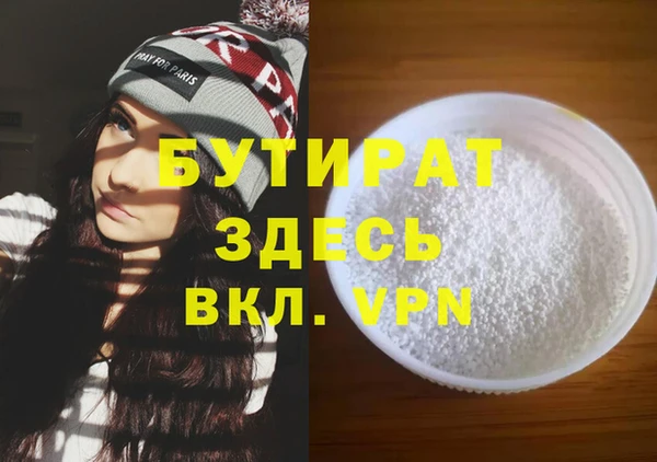 индика Вяземский