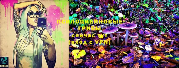 гидра Вязьма