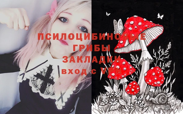 индика Вяземский