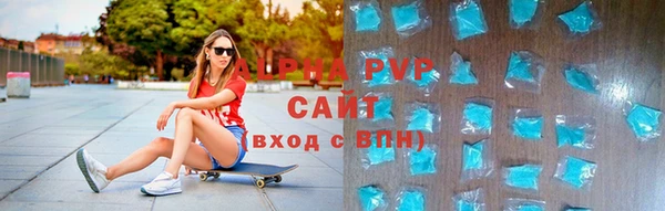 индика Вяземский