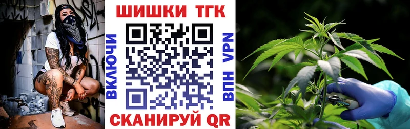 Шишки марихуана AK-47  купить закладку  Ишим 
